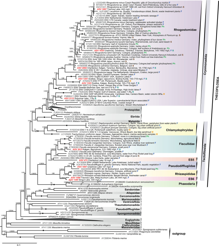 Fig 7