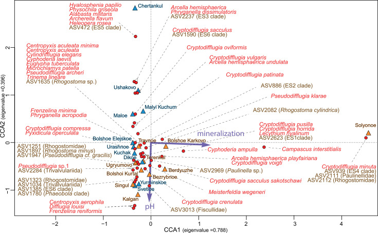 Fig 10