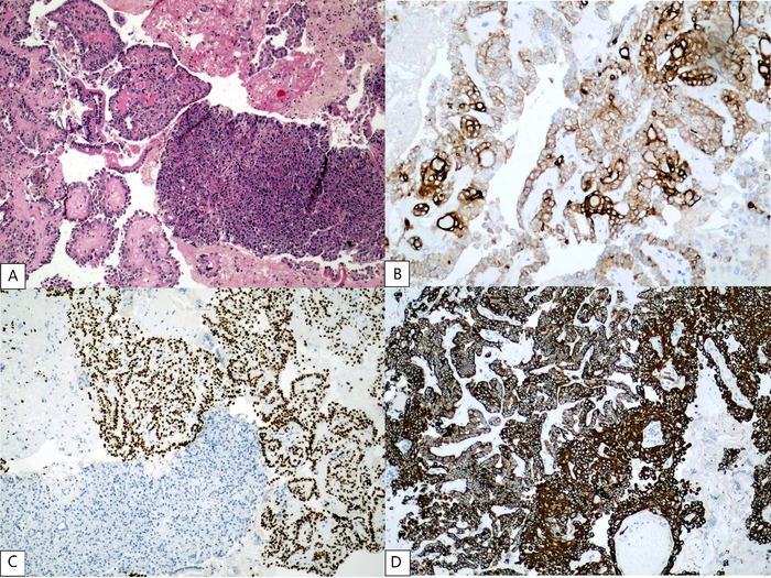 Figure 2