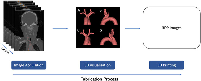 Figure 2
