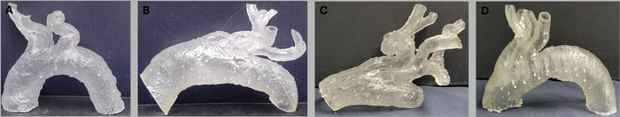 Figure 4