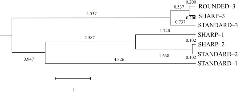 Fig 5