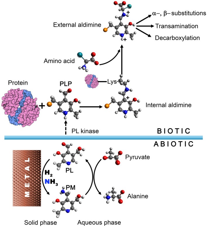 Fig. 1