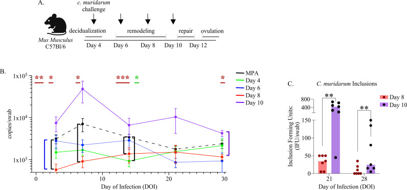 Fig 4