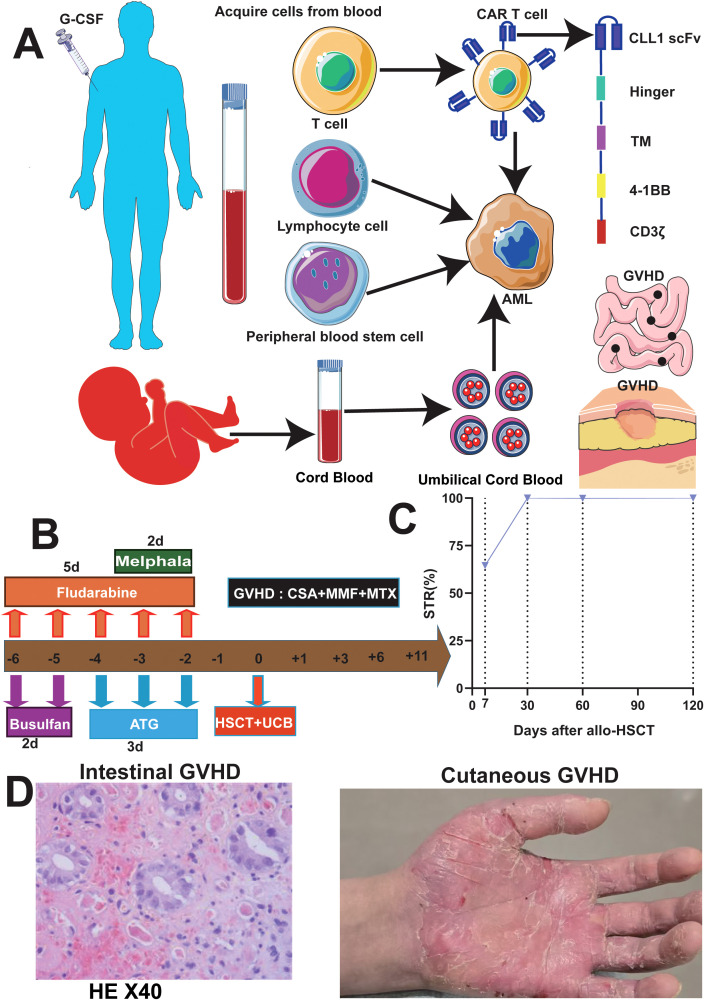 Figure 4