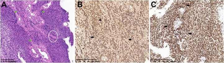 Figure 2