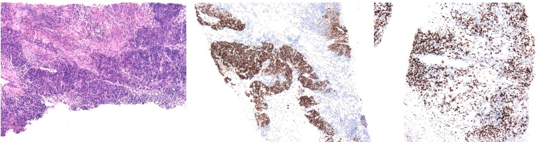 Figure 3