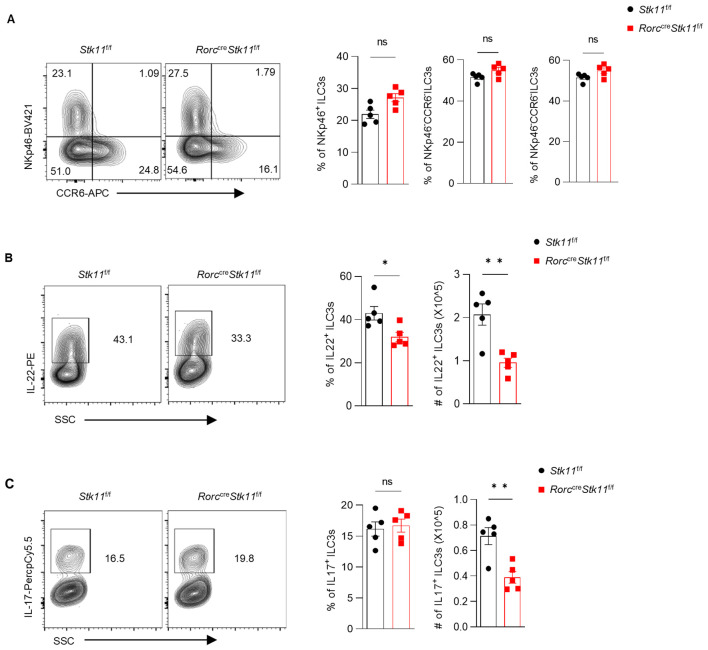 Figure 3