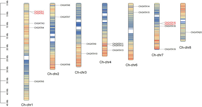 Figure 1