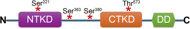 FIGURE 1