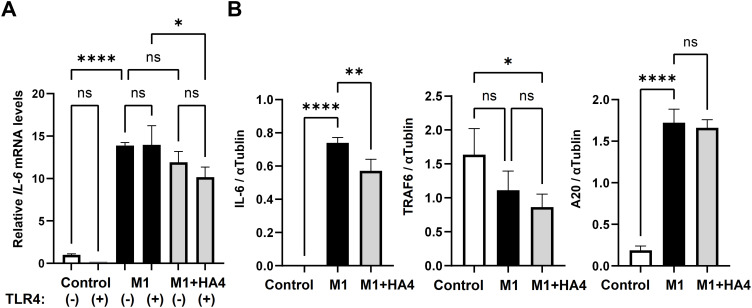 Figure 5