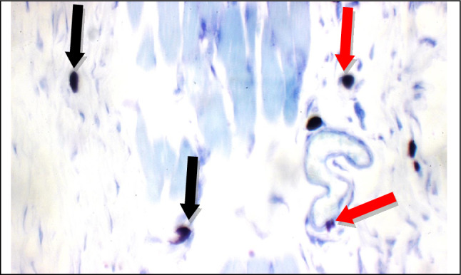 Figure 20