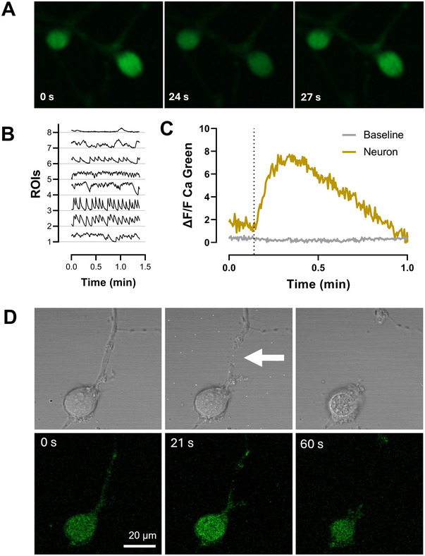 FIGURE 3