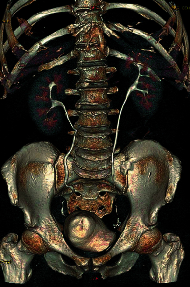 FIGURE 6