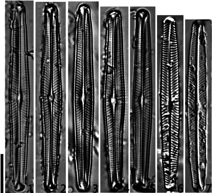 Figures 1–7
