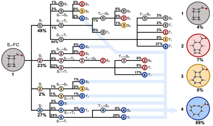 Fig. 9