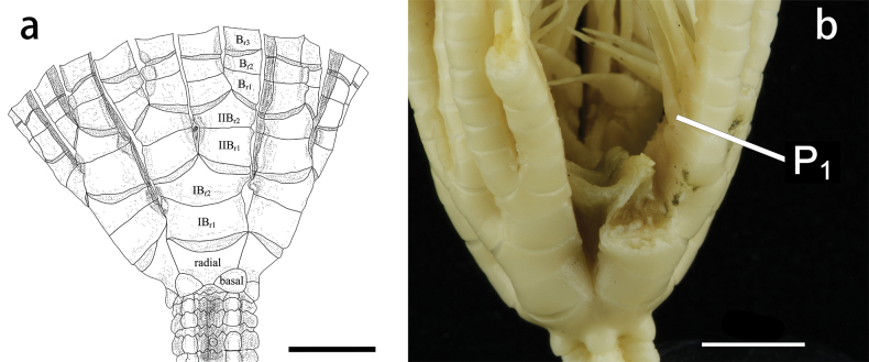 Figure 8