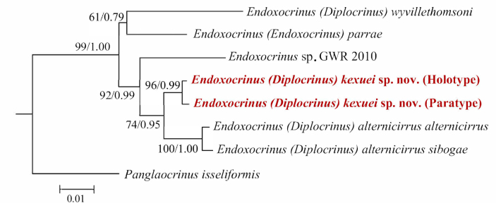 Figure 10