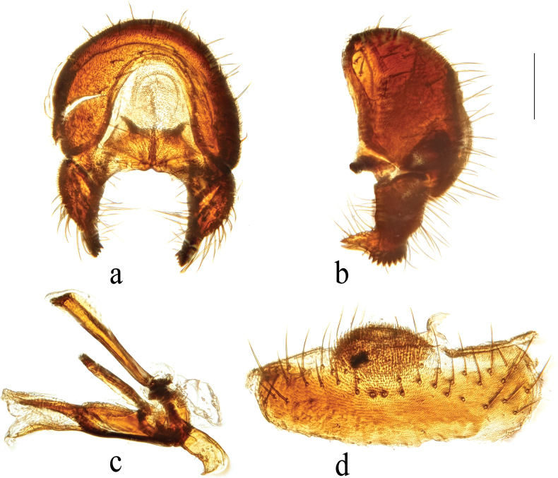 Figure 9