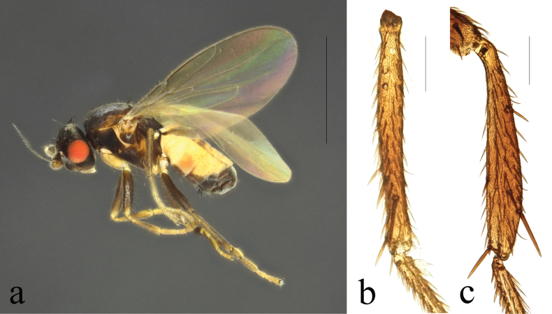 Figure 10