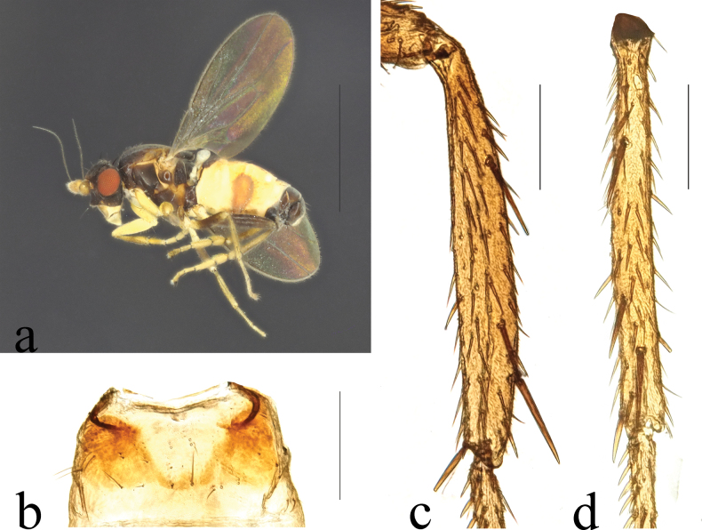 Figure 12