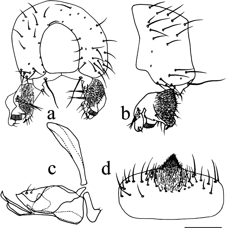 Figure 13