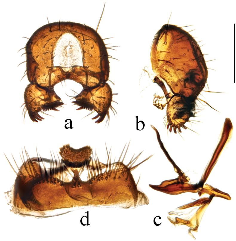 Figure 15