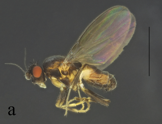 Figure 16