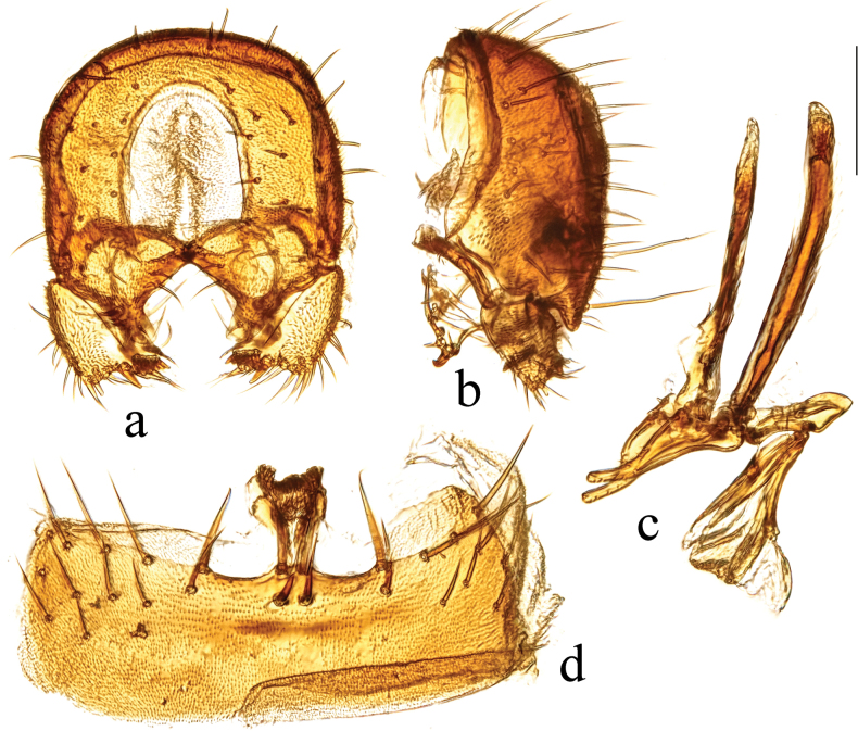 Figure 17