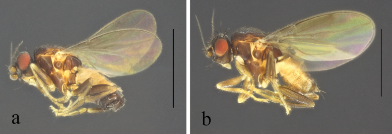 Figure 18