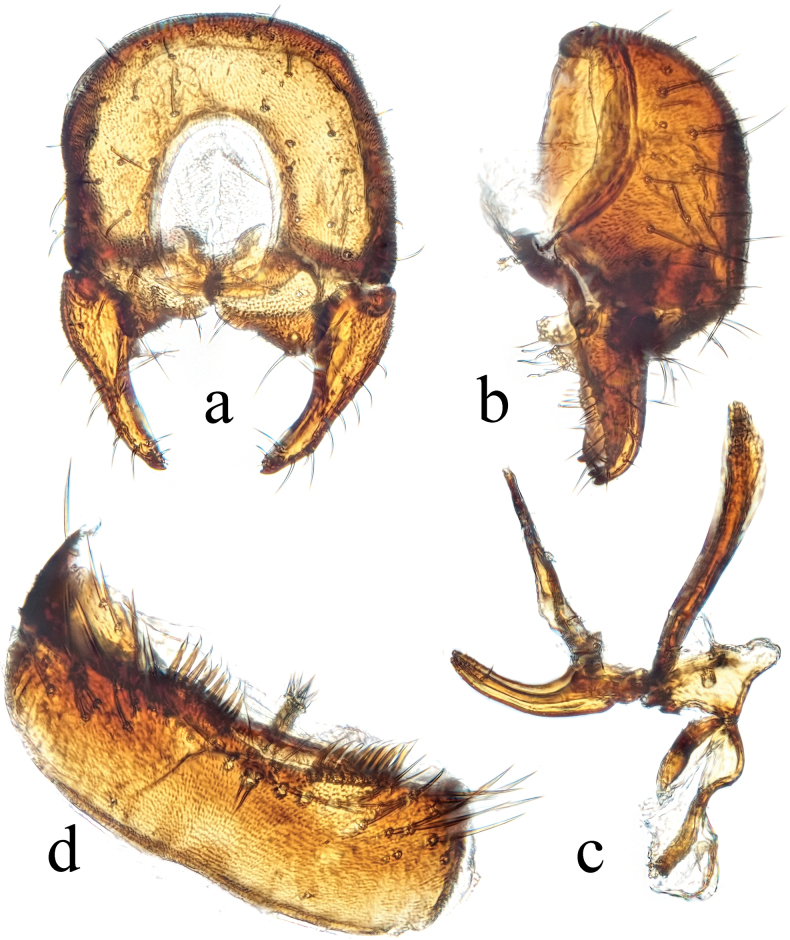 Figure 19