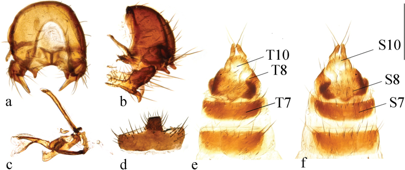 Figure 21