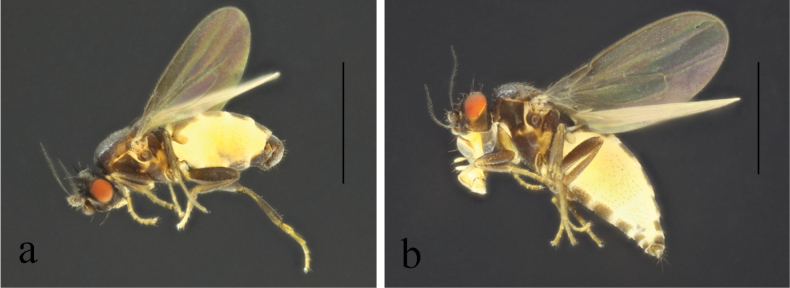Figure 22