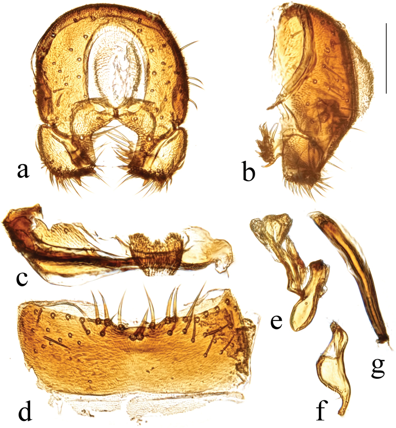 Figure 23