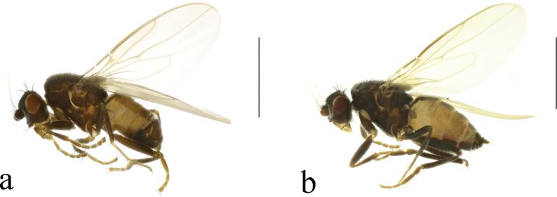 Figure 24
