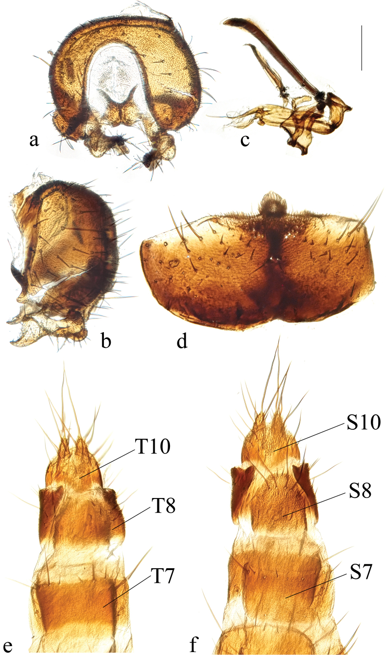 Figure 25