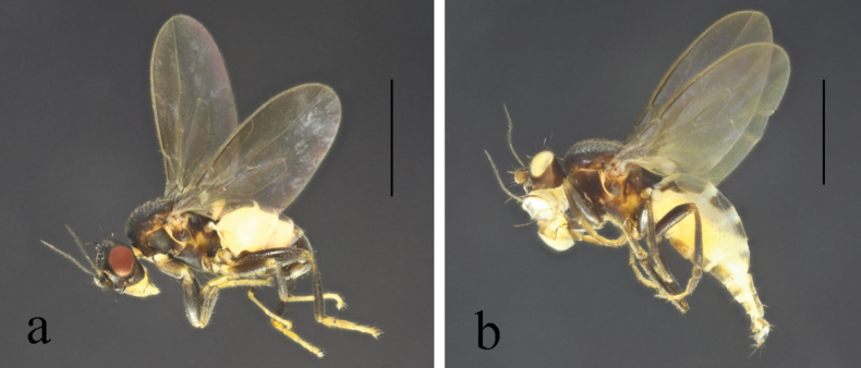 Figure 26