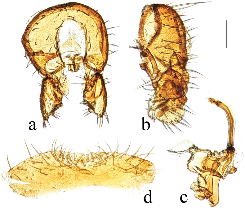 Figure 27