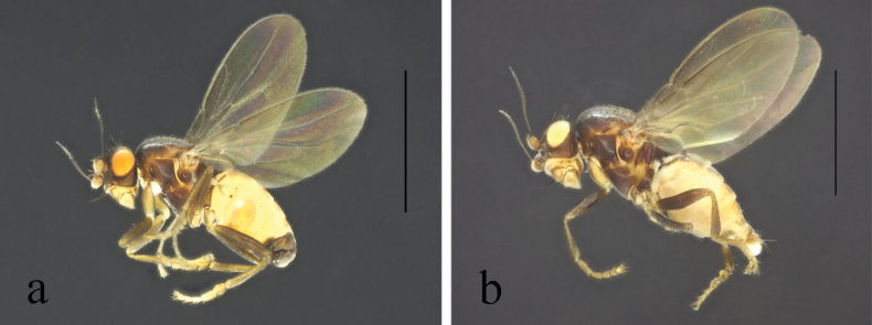Figure 28