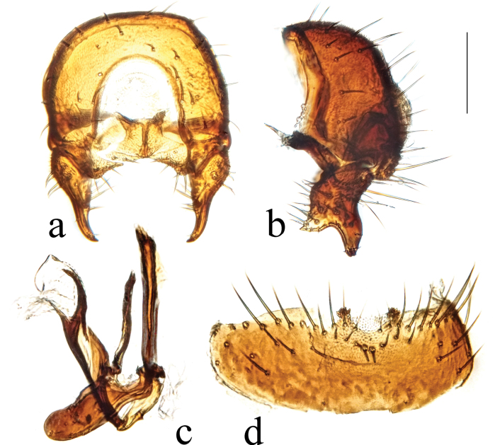Figure 29