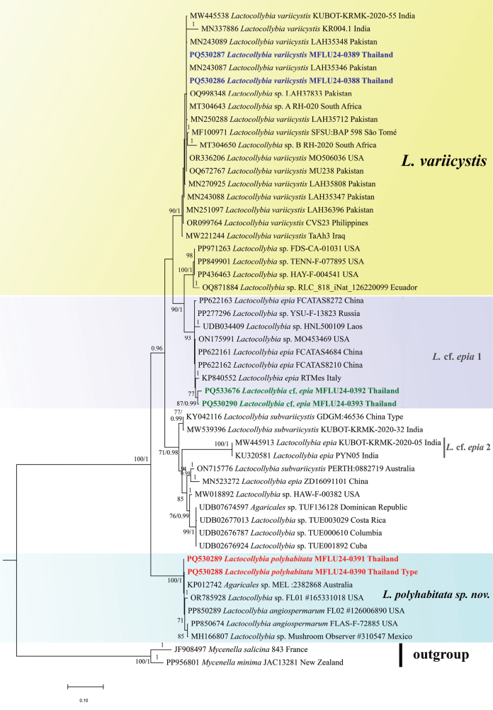 Figure 1