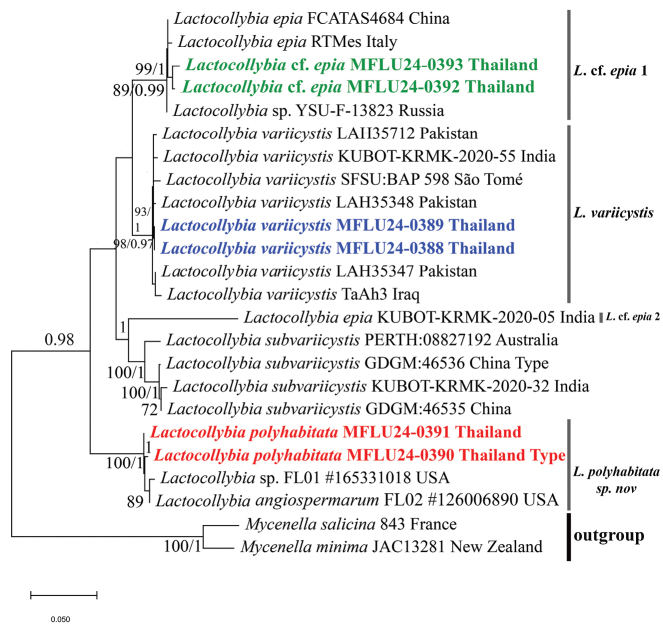 Figure 2