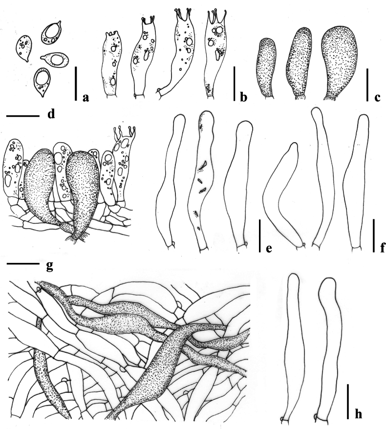 Figure 8