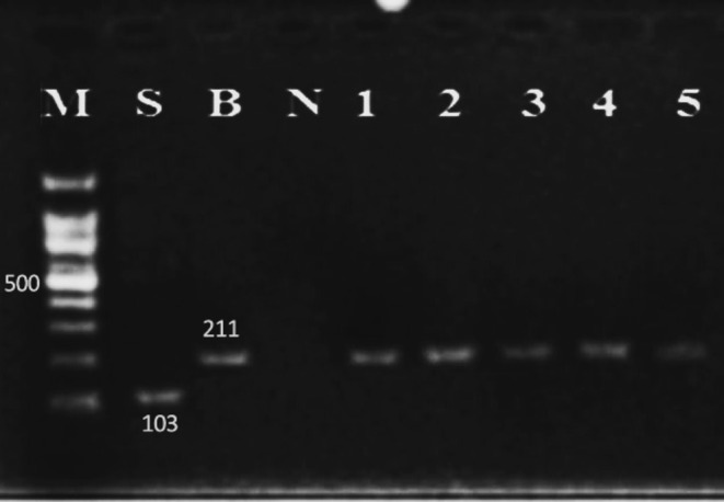 Figure 5