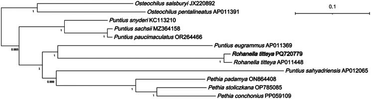Figure 3