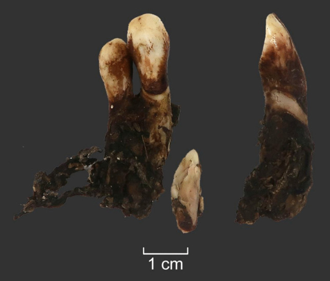 Figure 10