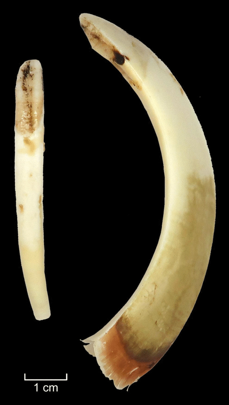 Figure 19