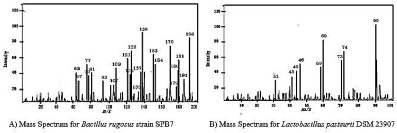 Figure 10