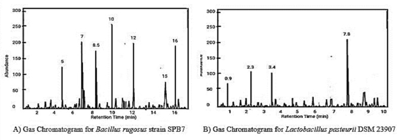 Figure 9