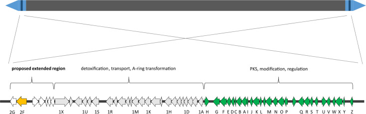 Fig. 2